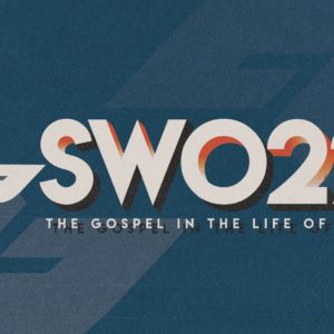 Swo22 snowbird summer camp, logo